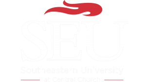 Logo for South Eastern University